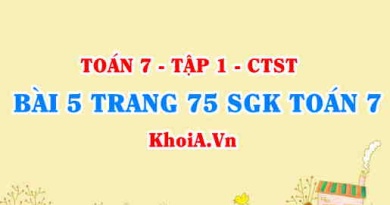 Bài 5 trang 75 SGK Toán 7 Chân trời sáng tạo tập 1